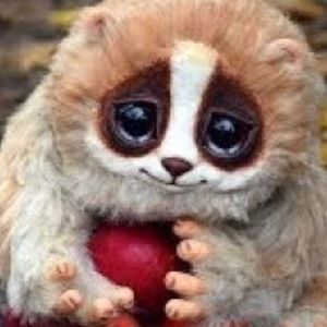 Meet your Posher, Alivia